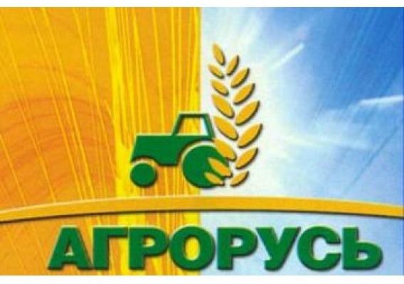 Агропромышленная выставка-ярмарка «АГРОРУСЬ - 2015»