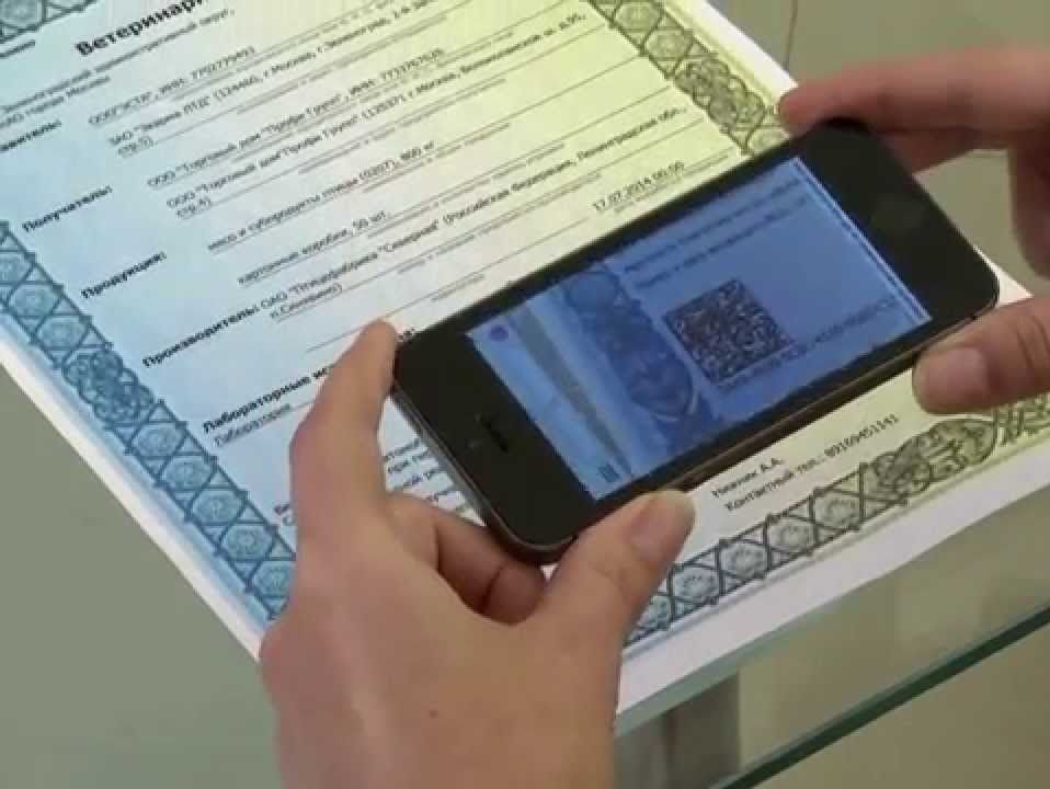 ветеринарный сертификат